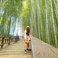 Juknokwon Bamboo Forest