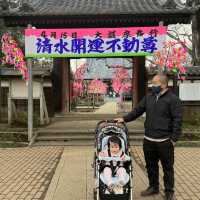 เทศกาลซากุระShimizu Park🌸🌸🌸