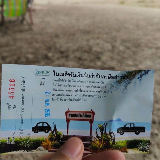 สวนสนประดิพัทธ์ หัวหิน