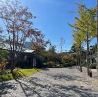 부산 문화복합공간 F1963 💜 데이트 추천 
