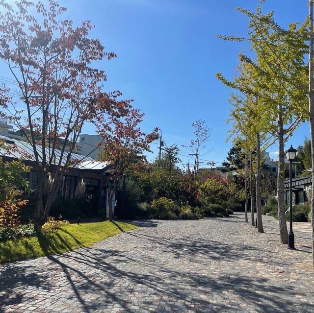 부산 문화복합공간 F1963 💜 데이트 추천 