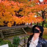 紅葉見に行こ～うよ～【禅林寺 永観堂】✨