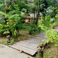 Jungle Resort Pearl Beach