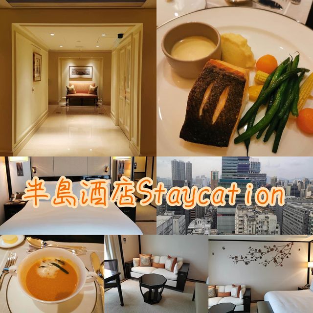 香港🇭🇰富貴體驗Staycation🫶🏻半島酒店🏨超豪住宿