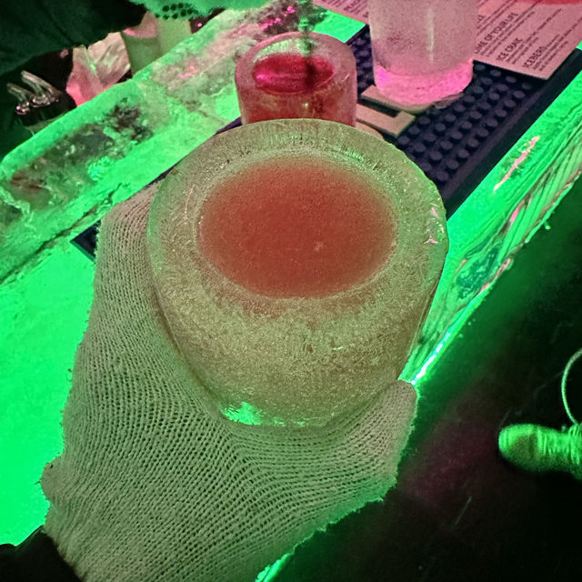 NZ 南島 皇后鎮 Minus 5 ICE Bar 
