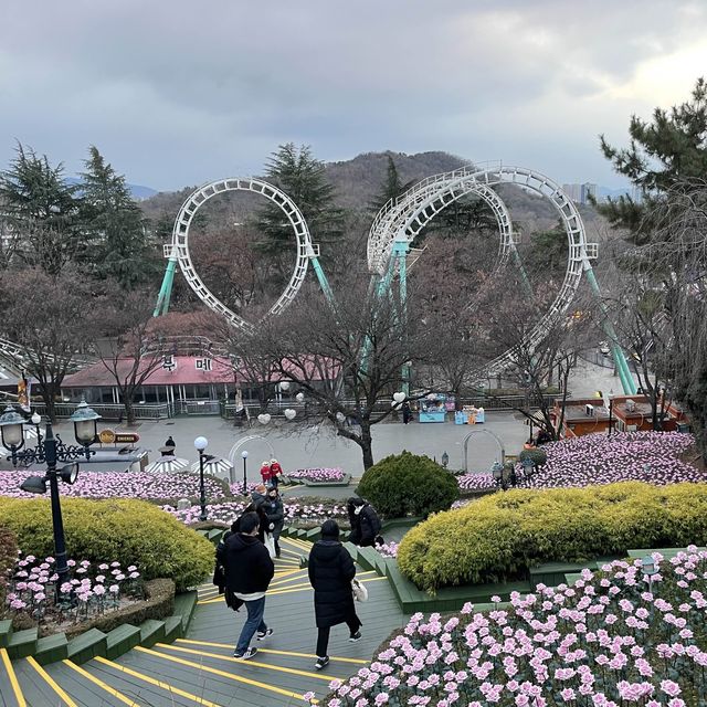 겨울에도 즐거운 대구 이월드🎢