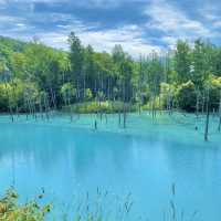 【北海道の魅力】美しすぎる池