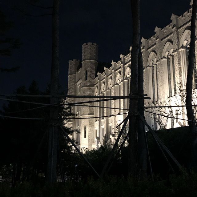 [안암] 일식당 백소정+고려대 산책