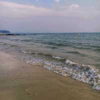 대천 해수욕장 🌊 