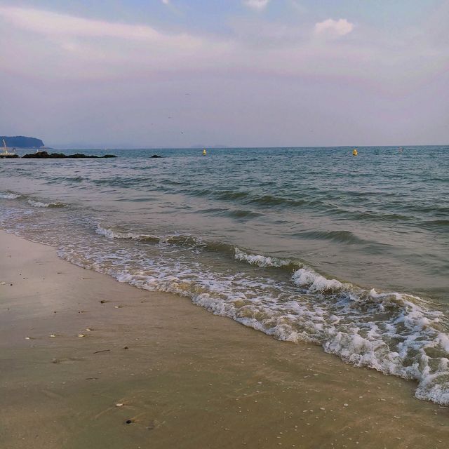 대천 해수욕장 🌊 