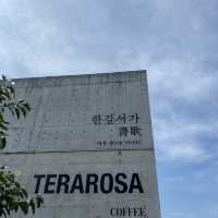 강릉 대형카페 - 테라로사