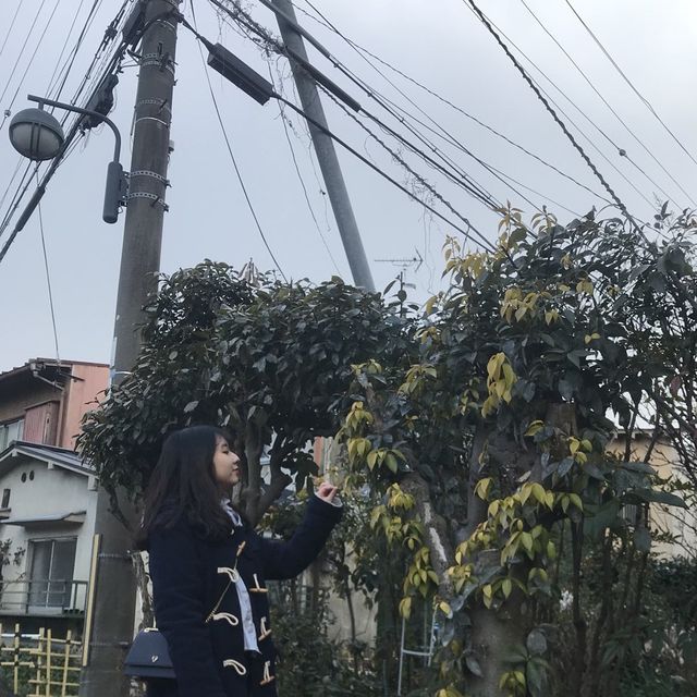 추운 날에 따뜻함을, 교토