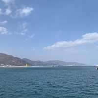 🌊🌺 여수 오동도에서 동백꽃+바다 가득가득 감상하기 🌺🌊
