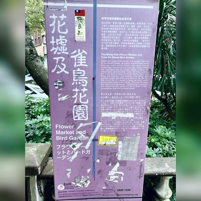 花香撲鼻