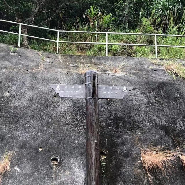 冬遊大潭水塘