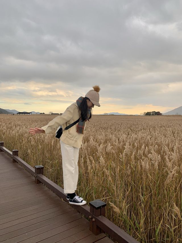 자연 향 가득 🌾 느낄 수 있었던 순천만습지
