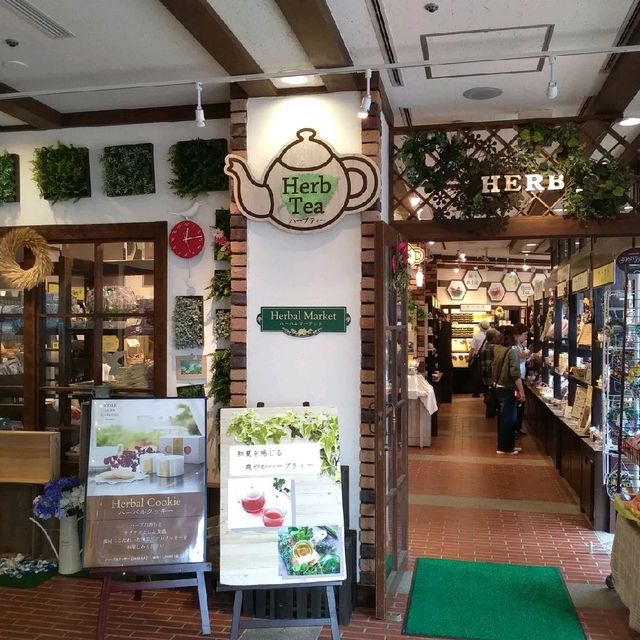 [神戸]短歌にも歌われた神戸の滝✨「布引ハーブ園」