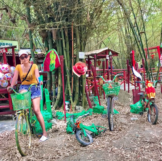 bamboo forest