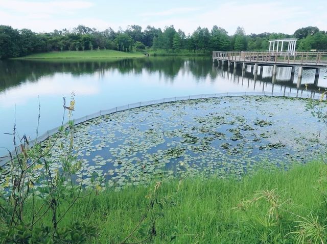 香港濕地公園
