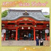 【兵庫県 神戸市】歴史ある生田神社✨✨