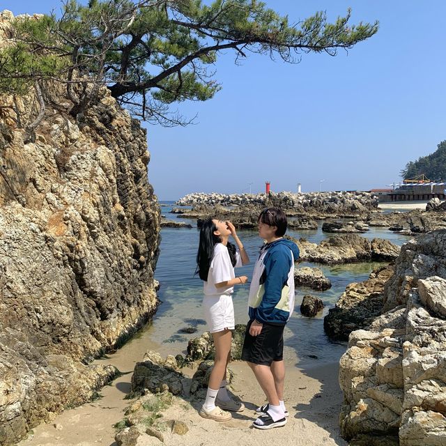 스노쿨링의 명소 “갈남항”