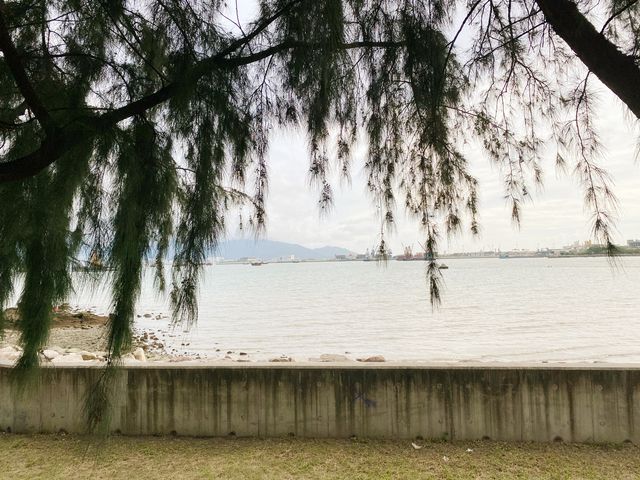 屯門賞花好地方