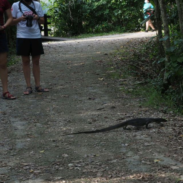 Nature @ Sungei Buloh Wetland Reserve