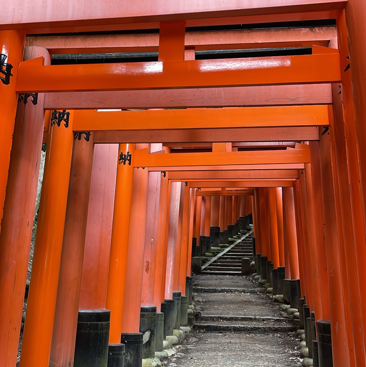 Tripメモリーで伏見稲荷大社のおすすめをチェック Trip Comトラベルガイド