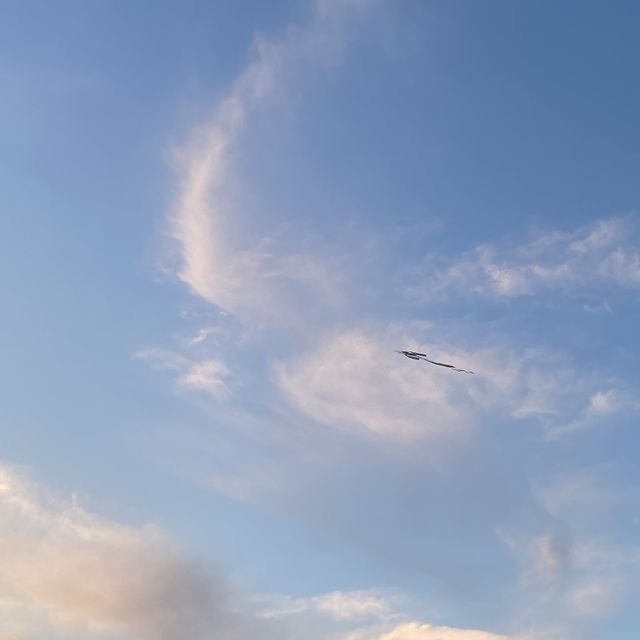 노을맛집 망원한강공원🌅