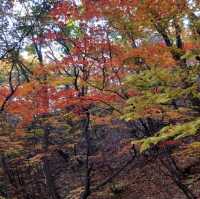 Trip to Seoraksan (Mount Seorak)