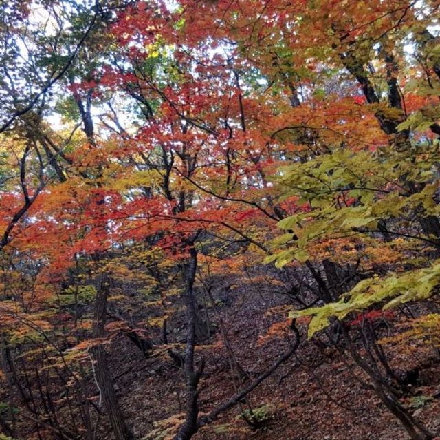 Trip to Seoraksan (Mount Seorak)