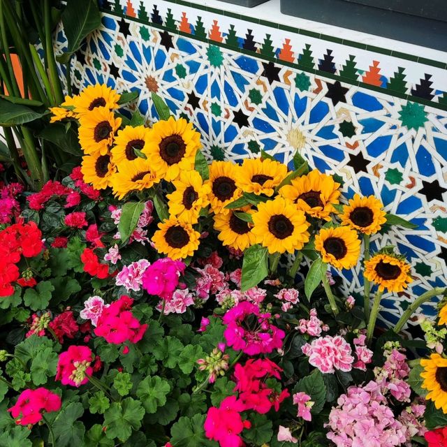Spanish Serenade with Sunflowers, Flower Dome