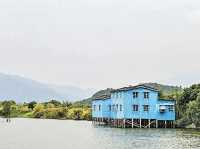 大生圍 Tai Sang Wai 郊遊好去處⛰️🚴🏻