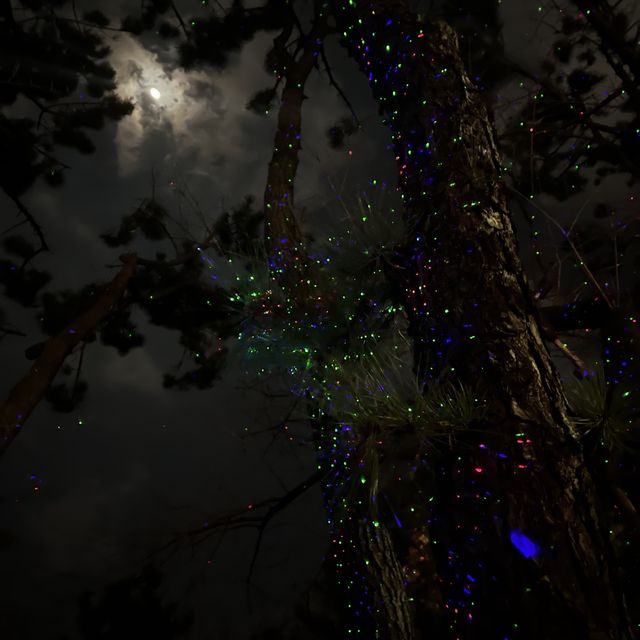 해운대 야경을 색다르게 구경하고싶다면 강추하는 해운대 달맞이길🌕🌙