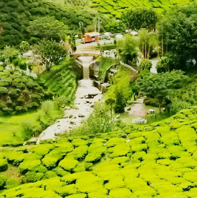 Favorite Place for Chillax & Recharge 🍃