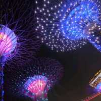 garden by the bay สิงคโปร์