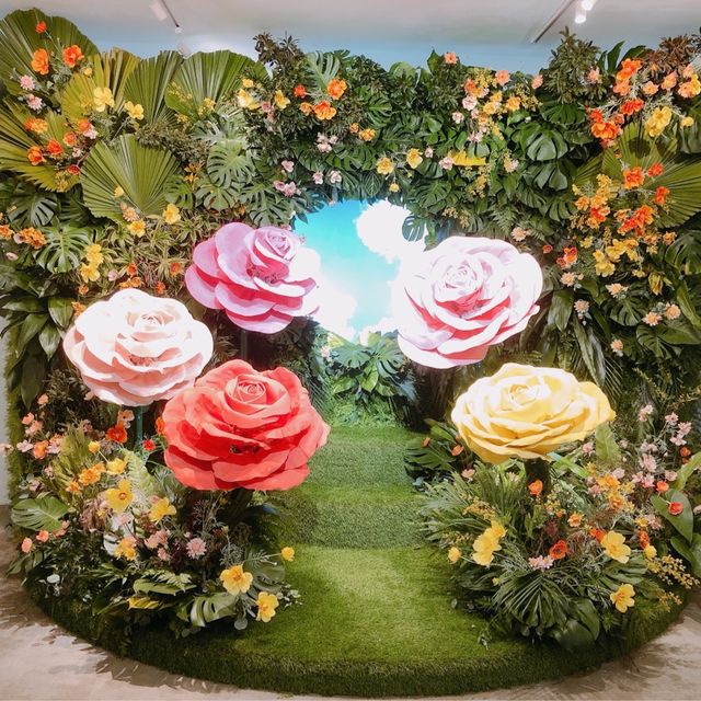 逛逛發現走進美麗世界🌺🌸來自未來的Kotex花園🌼🌻