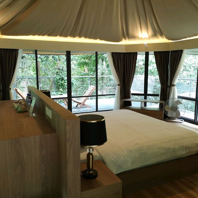 Best Glamping at PENANG 