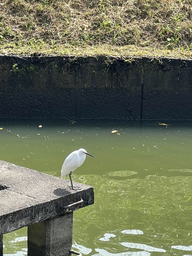 Nature Education Centre in Sai Kung