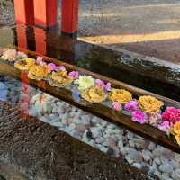 【石川】金沢の縁結び神社💕石浦神社