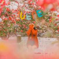 🌺눈과 동백의 아름다운 조화 [제주, 휴애리]