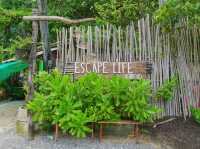 Escape Life Koh Kood ที่พักสุดชิลฟีลป่าโกงกาง