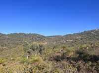Eagle’s Eye Ellis Brook Valley 😎 Perth, WA