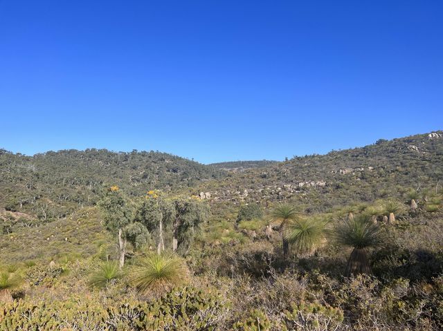 Eagle’s Eye Ellis Brook Valley 😎 Perth, WA