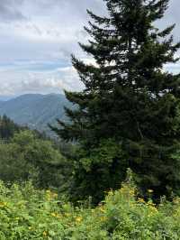 New Found Gap - Smoky Mountains