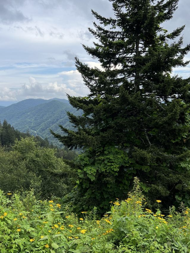 New Found Gap - Smoky Mountains