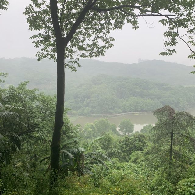 A Botanical Oasis in the Center of Chongqing