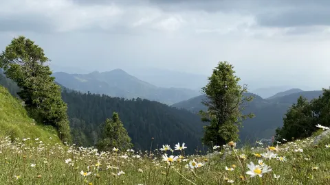 達爾豪西 - 美麗的山地車站  — traveler post in 昌巴