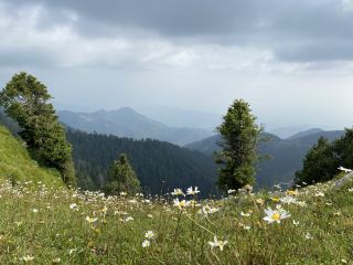 Dalhousie - Beautiful Hill Station 
