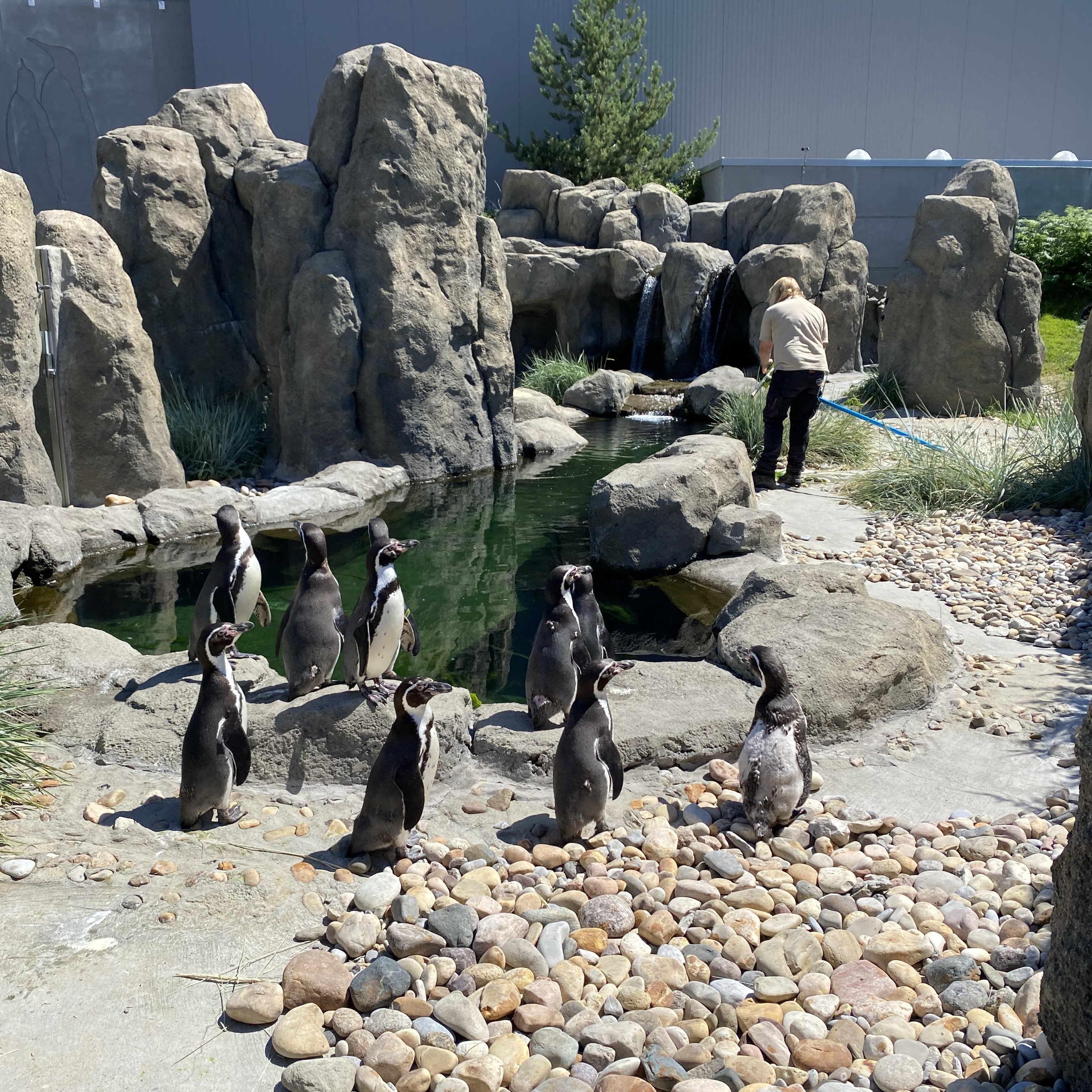 Calgary Zoo